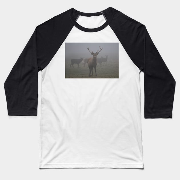 The Standoff (Deer In Fog) Baseball T-Shirt by acespace